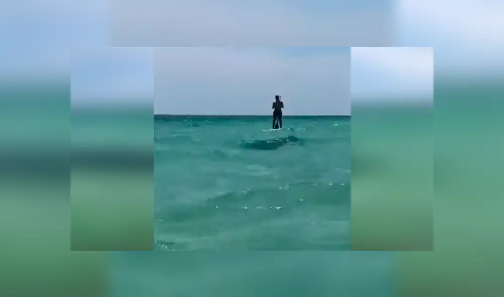 YouTube viral: extraño animal emerge del mar y bañistas quedan aterrados con su aspecto [VIDEO] 