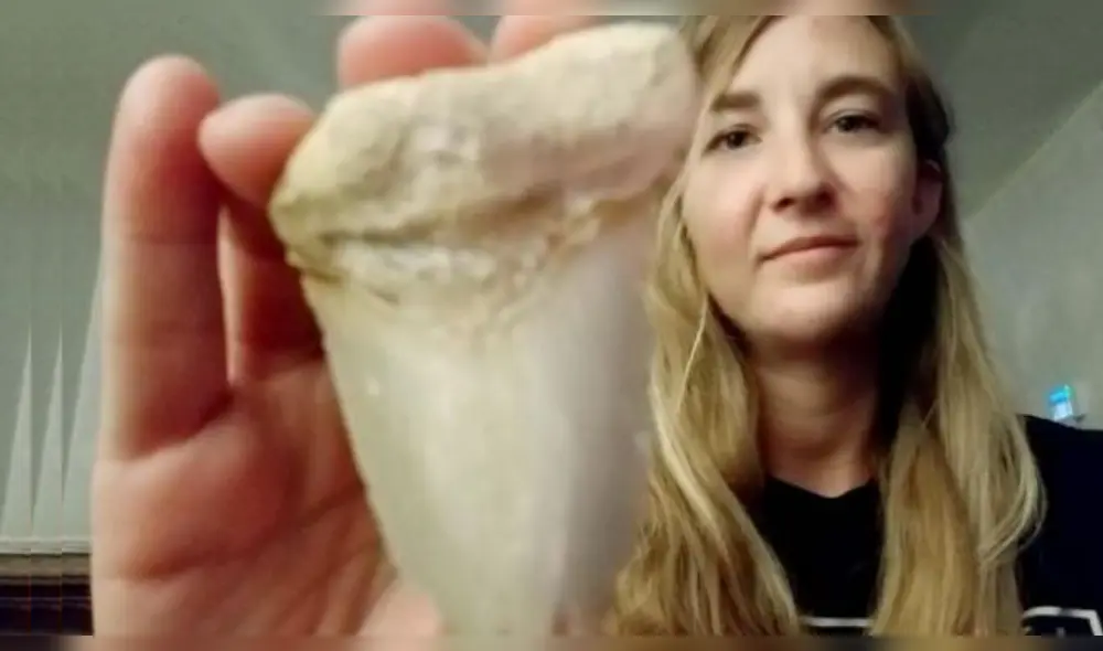 La joven norteamericana envió las fotografías de su hallazgo a especialistas de la Universidad de Florida, quien confirmaron que la pieza se trataba de un fósil. (Foto: Difusión)