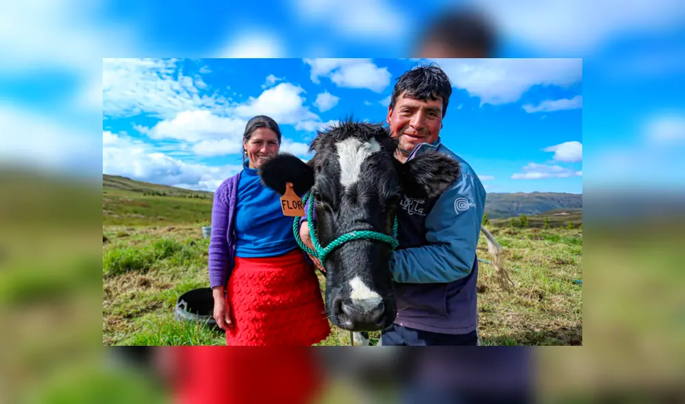 Las personas que se dedican a la ganadería se verán beneficiadas con los créditos. Foto: MINAGRI. Las personas que se dedican a la ganadería se verán beneficiadas con los créditos. Foto: MINAGRI.
