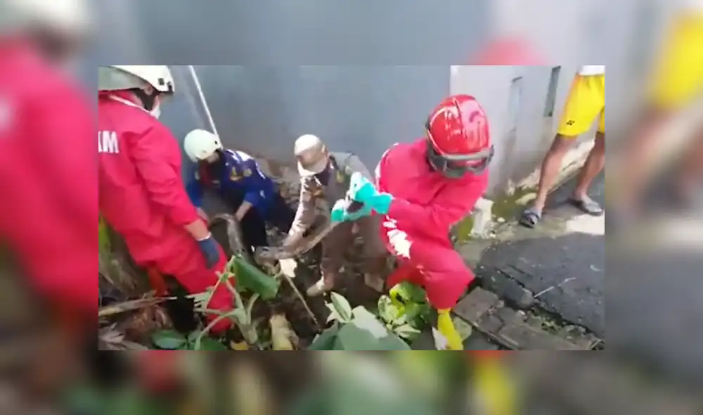 Desliza hacia la izquierda para ver las imágenes del viral de Facebook. Foto: Captura.