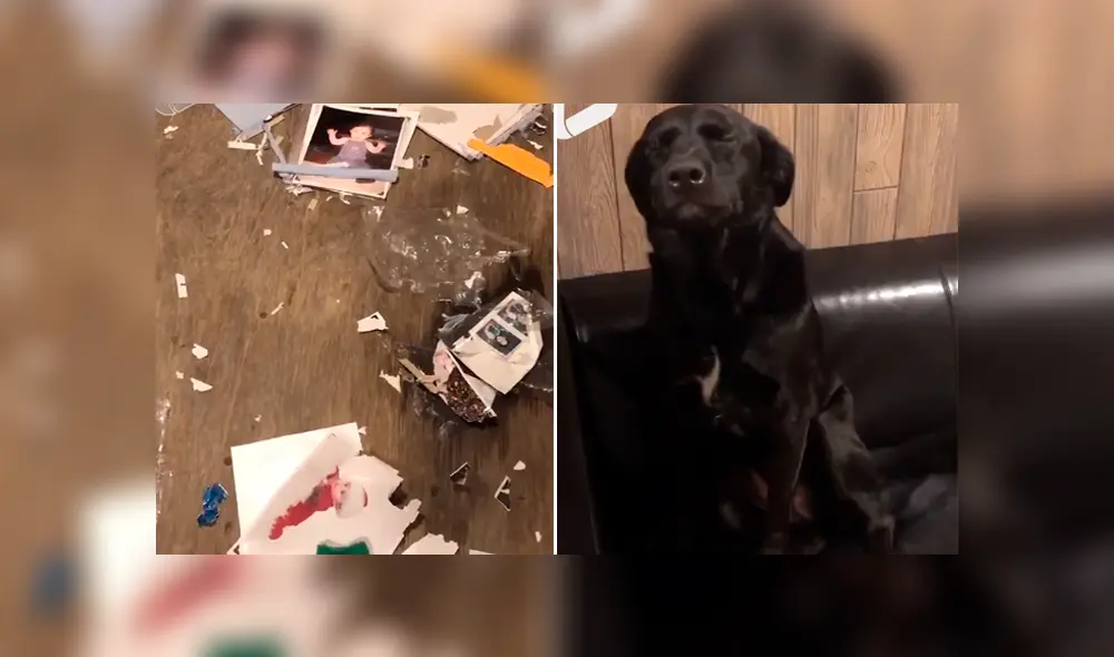 Desliza para ver los momentos más divertidos del video que se hizo viral en Facebook. Desliza para ver los momentos más divertidos del video que se hizo viral en Facebook.