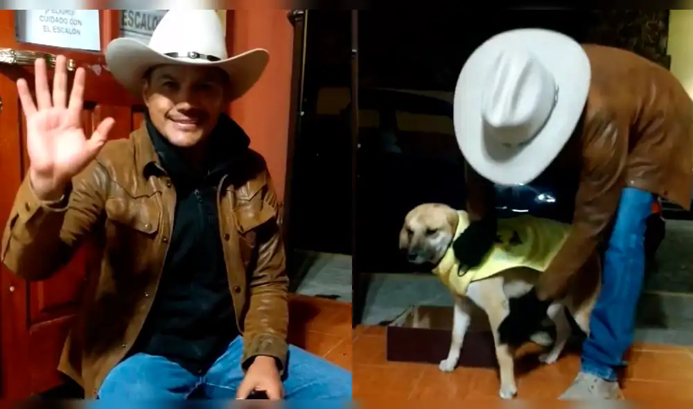 Facebook: Pone abrigos a perros callejeros por el frío y miles lo felicitan [VIDEO]