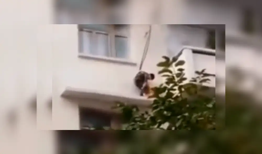 Niño en el balcón rescatando al gato. Niño en el balcón rescatando al gato.