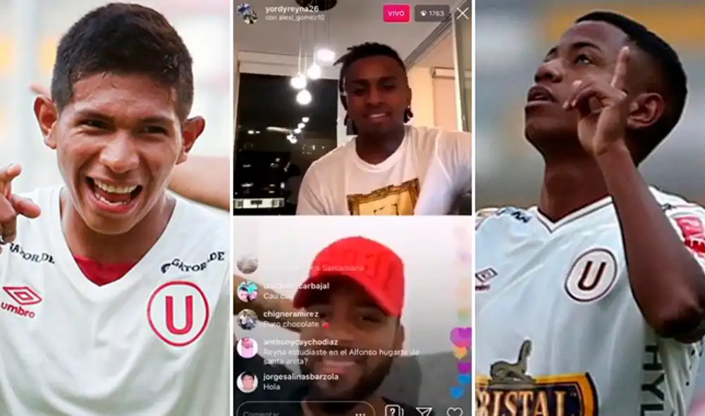 flores polo reyna gomez