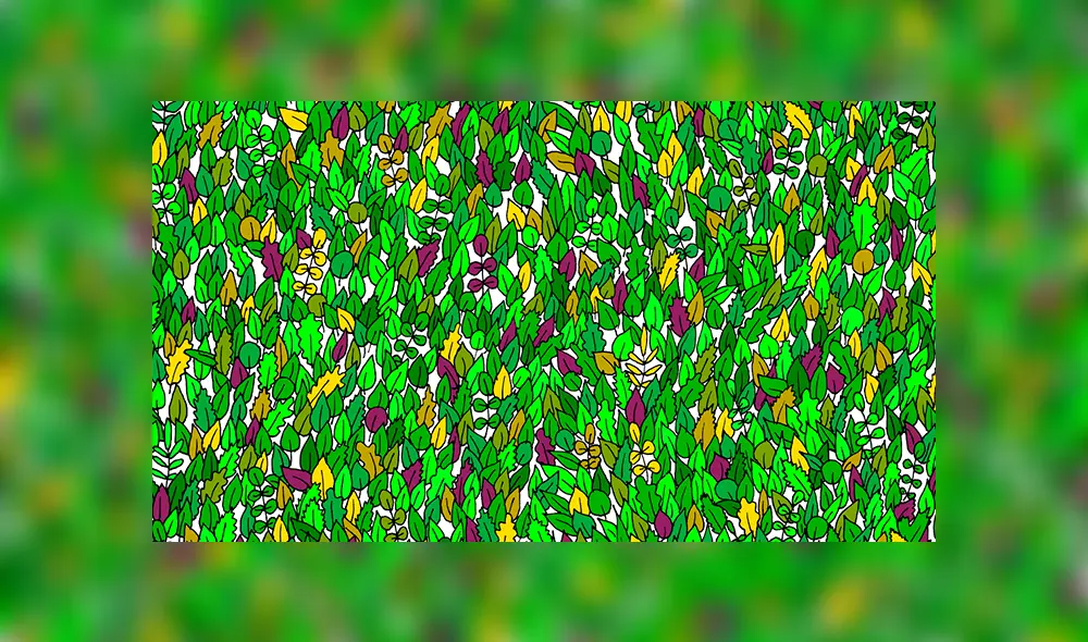 Facebook viral: halla al sapo bebé escondido entre hojas, el reto visual que casi nadie puede superar