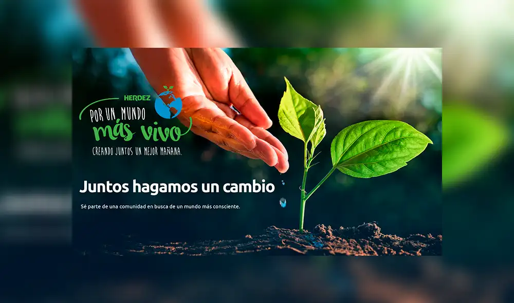 Nueva campaña permitirá pagar Netflix con latas recicladas.