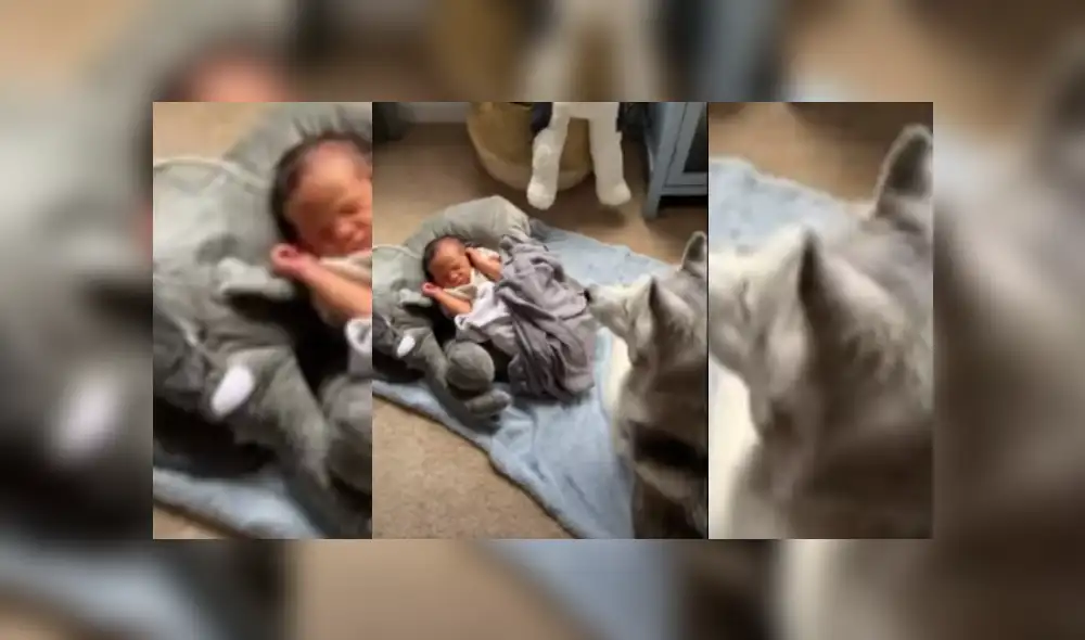 Desliza hacia la izquierda para ver más del video viral. Desliza hacia la izquierda para ver más del video viral.