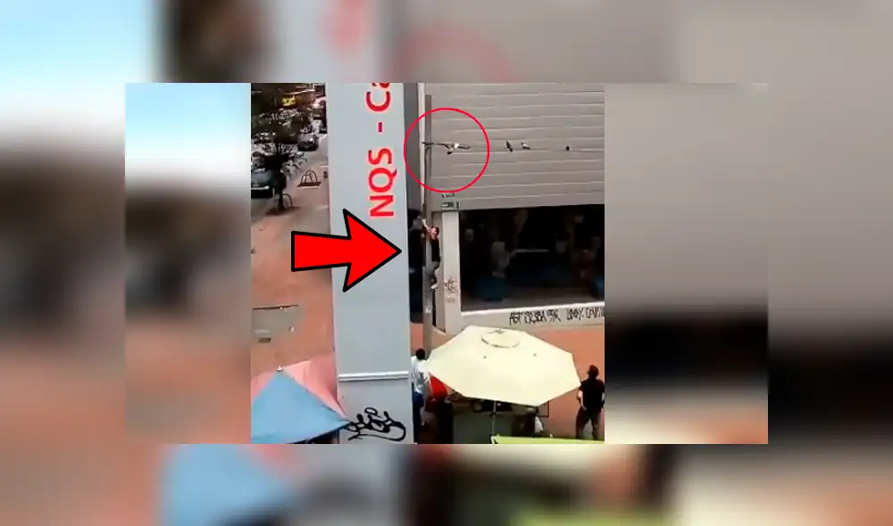 Hombre arriesgó su vida para rescatar a un ave que se había quedado atrapada en un poste de luz