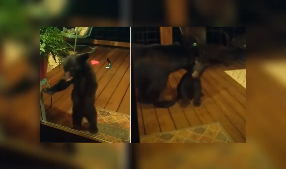 Desliza hacia la izquierda para ver más del video viral. Fotocaptura: Facebook