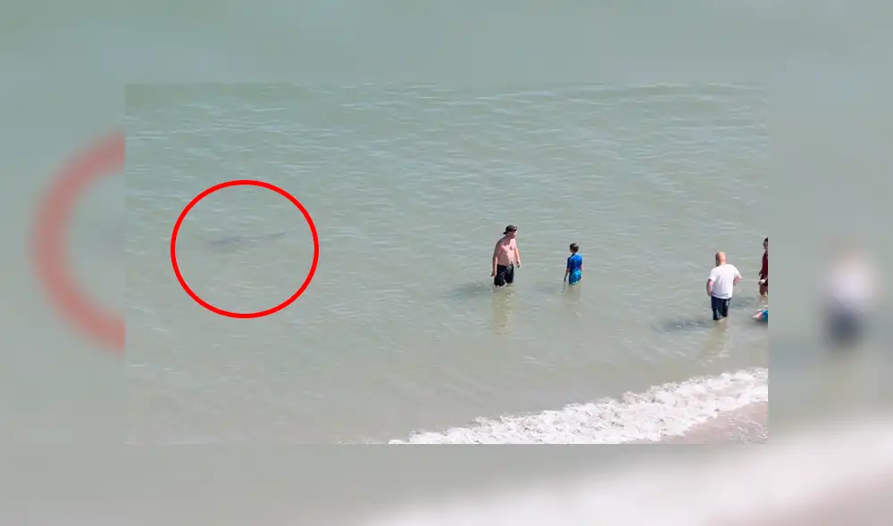 Bañistas quedan aterrados al notar la presencia de un tiburón. Foto: Captura.