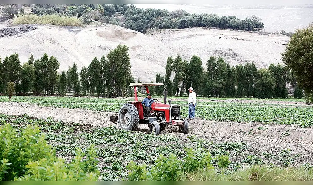 La agricultura hoy no es rentable para sus productores La agricultura hoy no es rentable para sus productores