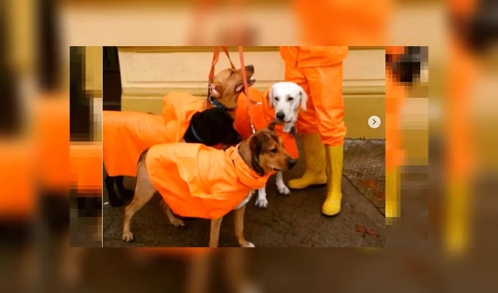 Facebook: Adiestrador de mascotas causa furor en redes por su forma de transportarse [VIDEO]