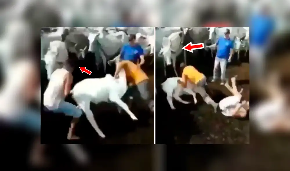 Facebook viral: Granjero usa ‘llave’ para derrotar a chivo, pero amigo lo venga y sucede lo peor [VIDEO] 