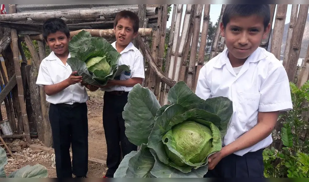 Menores desarrollan actividades adicionales. Menores desarrollan actividades adicionales.