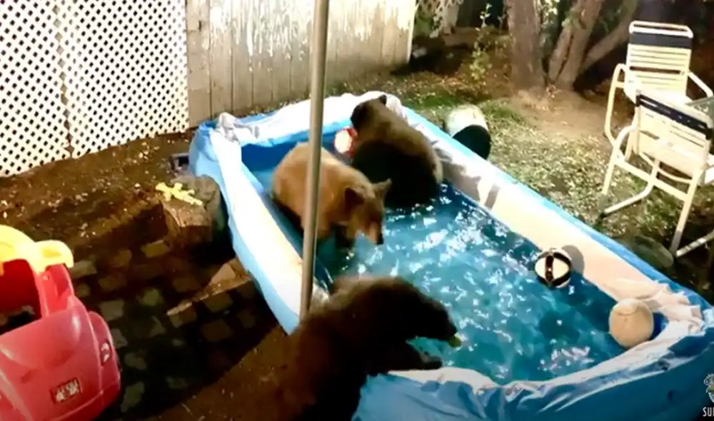 Desliza hacia la izquierda para ver las imágenes del video viral. Foto: Captura de YouTube. Desliza hacia la izquierda para ver las imágenes del video viral. Foto: Captura de YouTube.