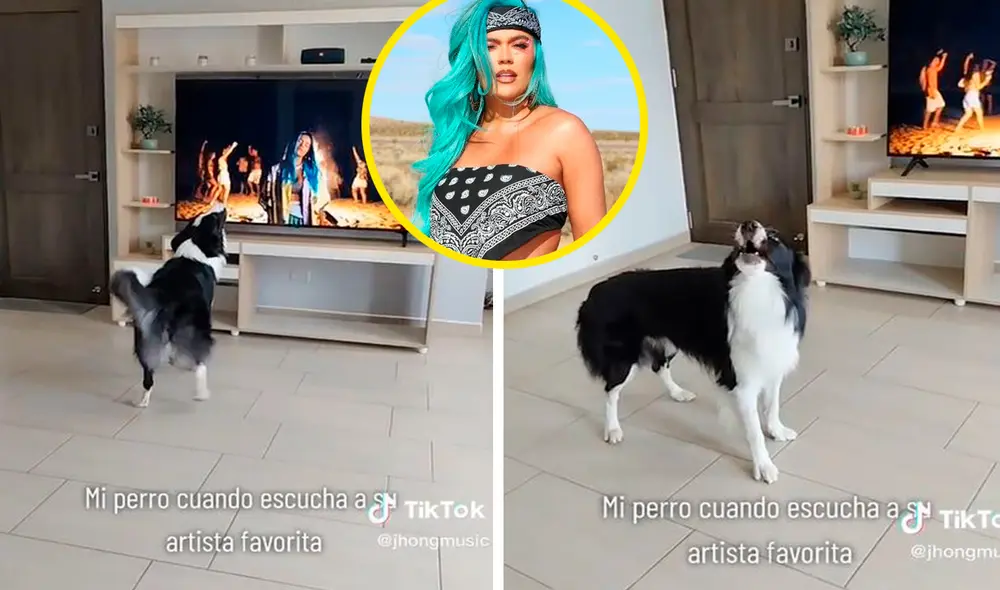 Una joven creyó que era mentira y lo puso a prueba; sin embargo, su mascota la sorprendió con su reacción. Foto: composición LR/TikTok/@kokoborder