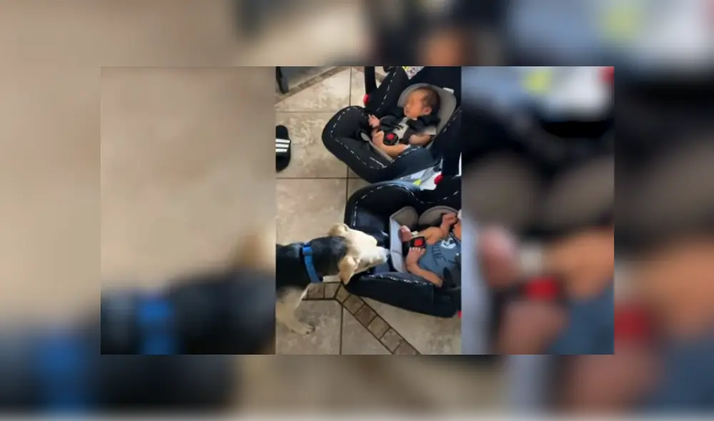 Desliza hacia la izquierda para ver más del video viral Desliza hacia la izquierda para ver más del video viral