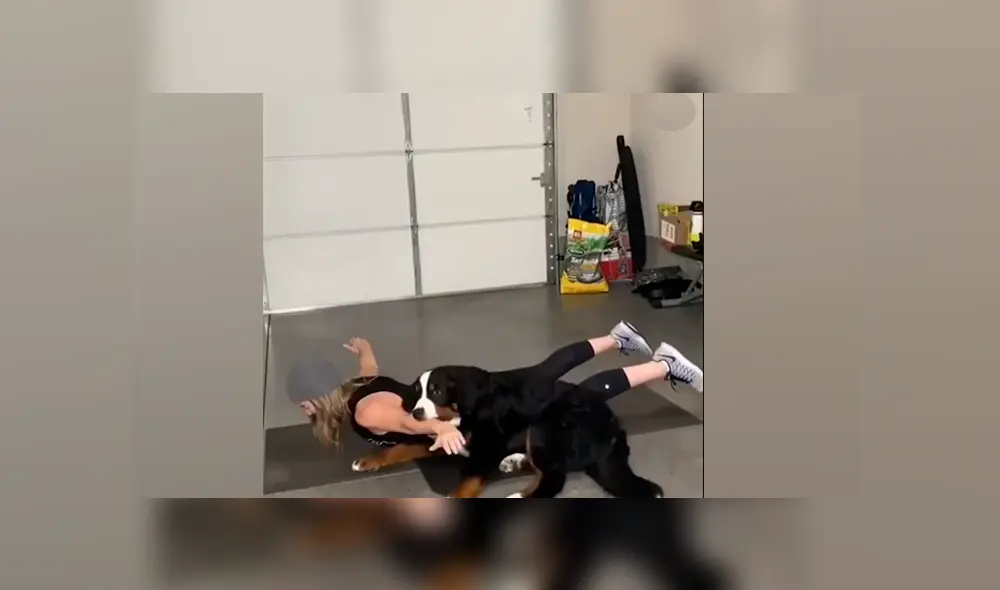 Desliza a la izquierda para ver la divertida escena que protagonizó el perro junto a su dueña. (Foto:captura)