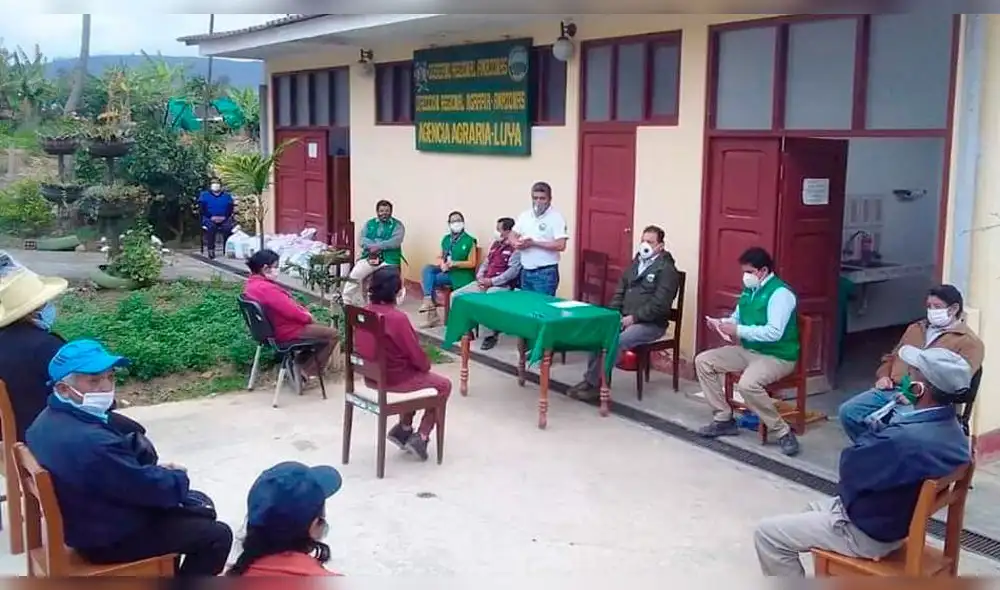 Entregan semillas a agricultores de Luya Entregan semillas a agricultores de Luya