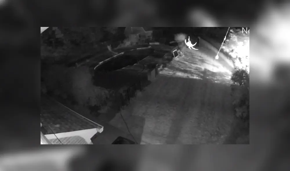 La grabación revela la asombrosa manera de cómo una araña hace su tela. Foto: Facebook