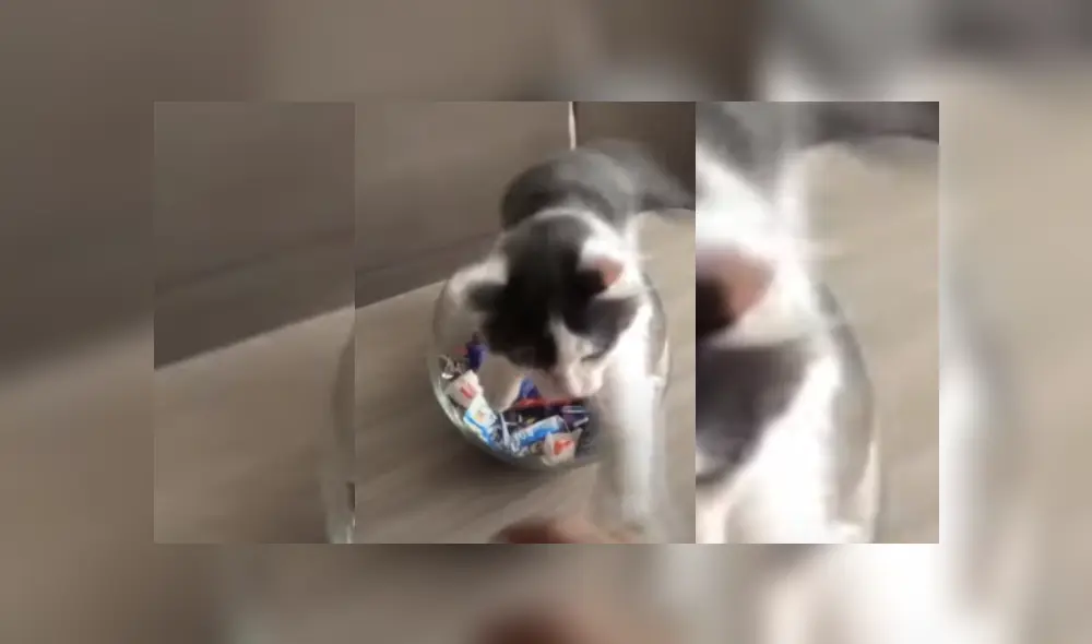 Desliza hacia la izquierda para ver más del video viral. Desliza hacia la izquierda para ver más del video viral.