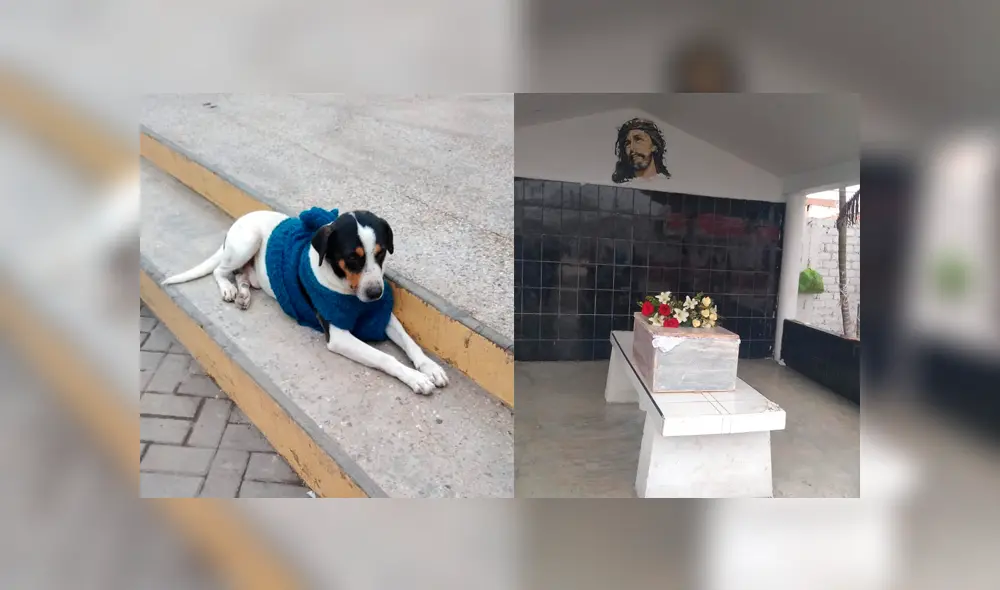 Desliza para ver las fotos del entierro de 'Manchas'. Foto: Facebook / Estrella Condeso Polo.