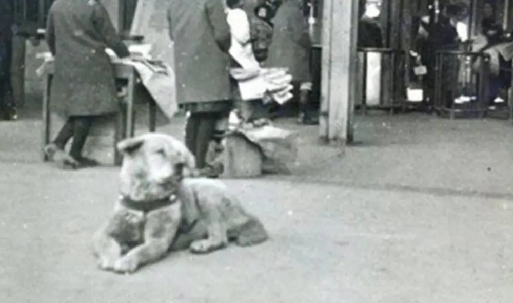 Hachiko estuvo esperando durante nueve años a su dueño Hidesaburō Ueno en la estación de Shibuya. Foto: Captura/YouTube/Experto Animal