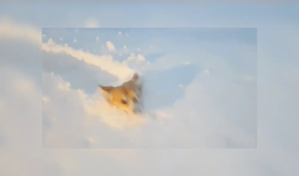 Desliza a la izquierda para conocer más sobre este nuevo viral de YouTube. Foto: Captura. Desliza a la izquierda para conocer más sobre este nuevo viral de YouTube. Foto: Captura.