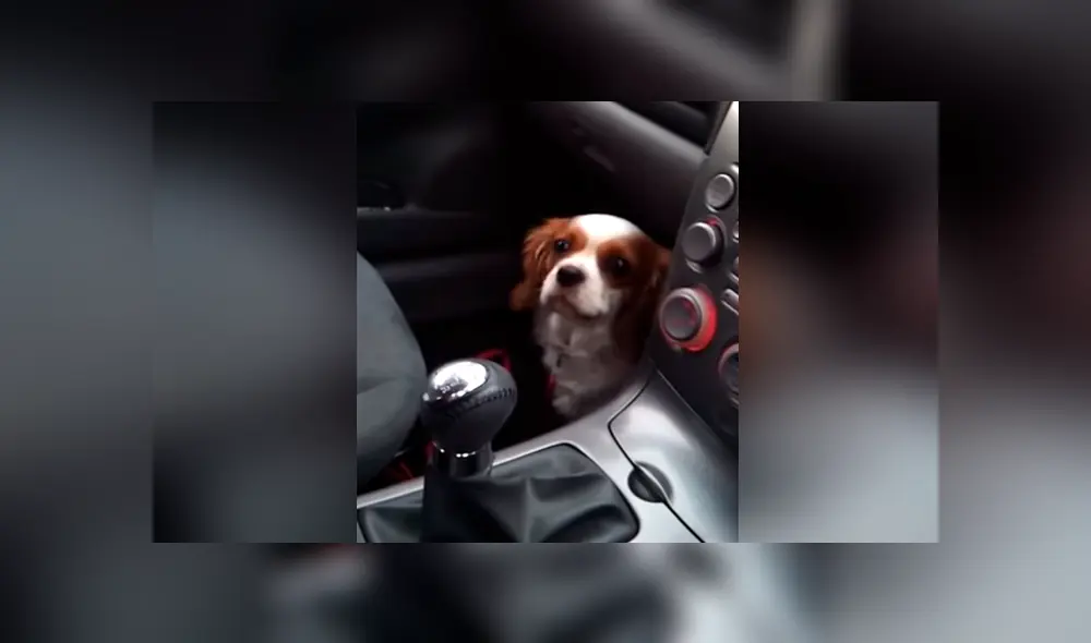 Desliza para ver los momentos más divertidos del video que se hizo viral en YouTube.