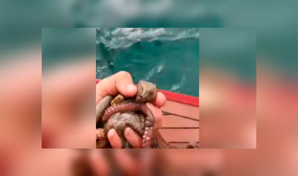 Un pescador se llevó una aterradora sorpresa al encontrarse una misteriosa piedra en una bahía. Un pescador se llevó una aterradora sorpresa al encontrarse una misteriosa piedra en una bahía.