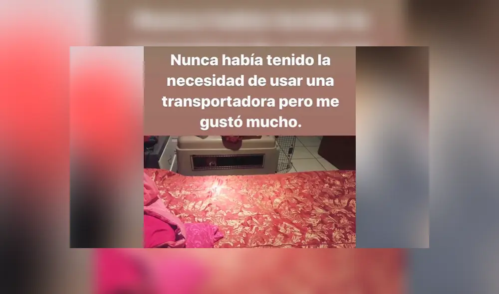 Desliza para ver los detalles de esta historia que conmovió a todos en Facebook. Foto: Captura. Desliza para ver los detalles de esta historia que conmovió a todos en Facebook. Foto: Captura.