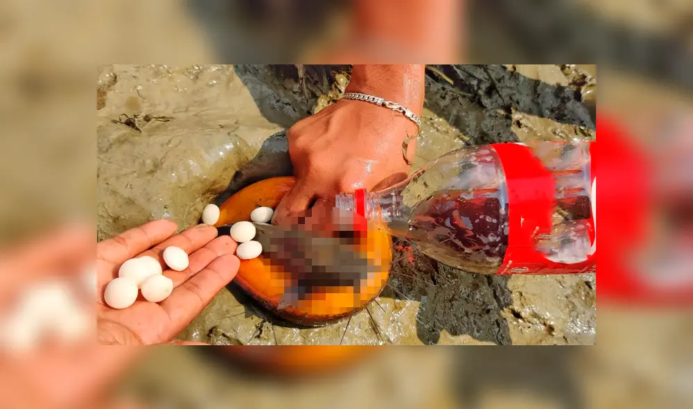 Desliza hacia la izquierda para conocer al extraño pez que salió de un misterioso agujero y se hizo viral en YouTube.