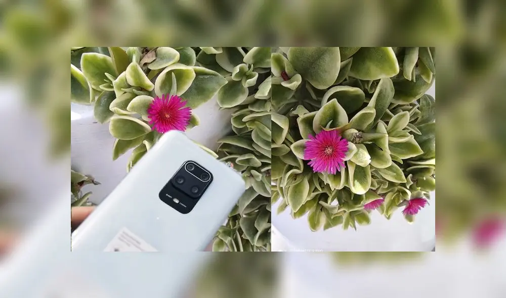El Redmi Note 9 Pro de Xiaomi tiene 4 cámaras, de las cuales la principal tiene un sensor de 64MP. Este es el resultado de la cámara macro.Foto: Daniel Robles.