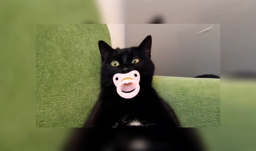 Desliza para ver el comportamiento que ha conmovido a los usuario de YouTube. Foto: Captura.