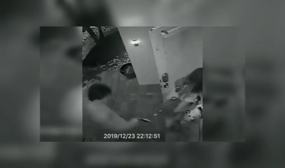 Video es viral en Facebook. El desafortunado joven acompañó a su novia hasta su casa sin imaginar la intempestiva bienvenida que le daría el can al verlo entrar al lado de su dueña Video es viral en Facebook. El desafortunado joven acompañó a su novia hasta su casa sin imaginar la intempestiva bienvenida que le daría el can al verlo entrar al lado de su dueña