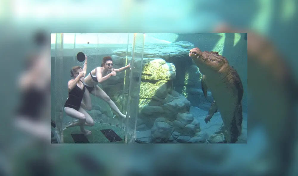 YouTube viral: chicas se sumergen en santuario de enorme cocodrilo y quedan horrorizadas 