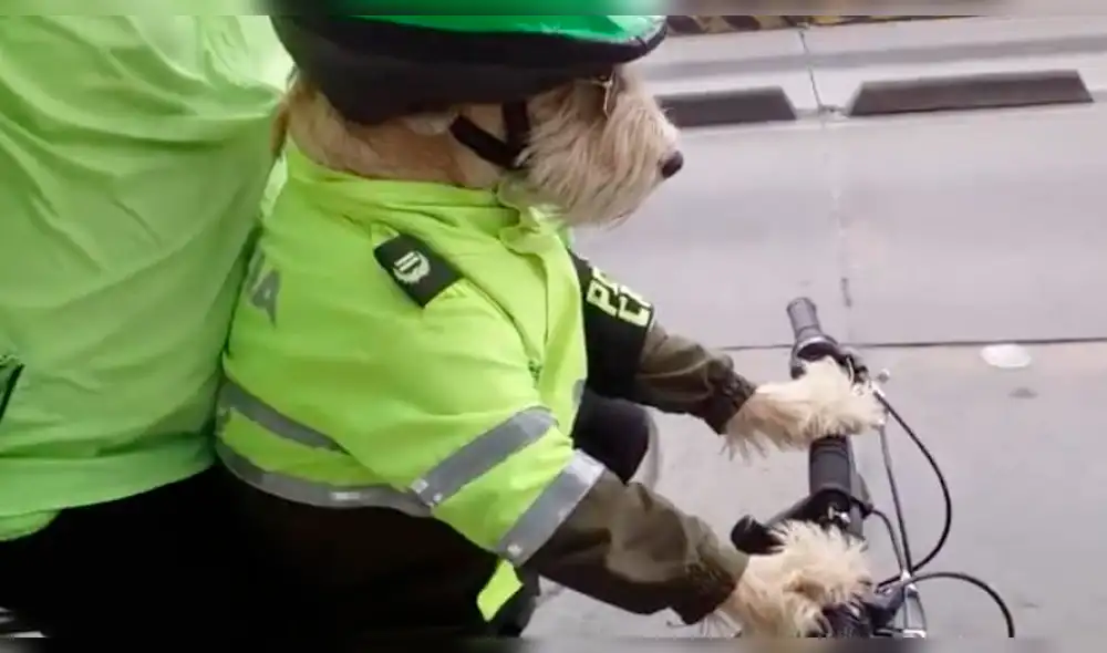 Facebook: Perro maneja bicicleta vestido de policía y es viral en Internet [VIDEO]