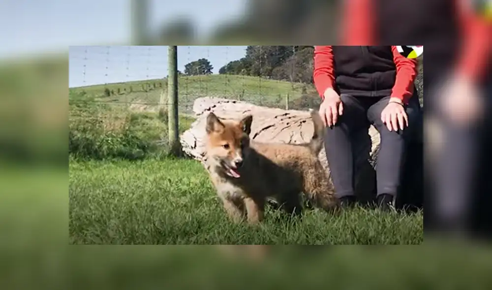 Desliza hacia la izquierda para ver las imágenes del viral de YouTube. Foto: Captura.