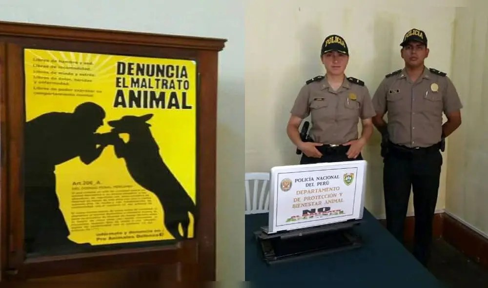 PNP crea oficina para denunciar casos de maltrato animal 