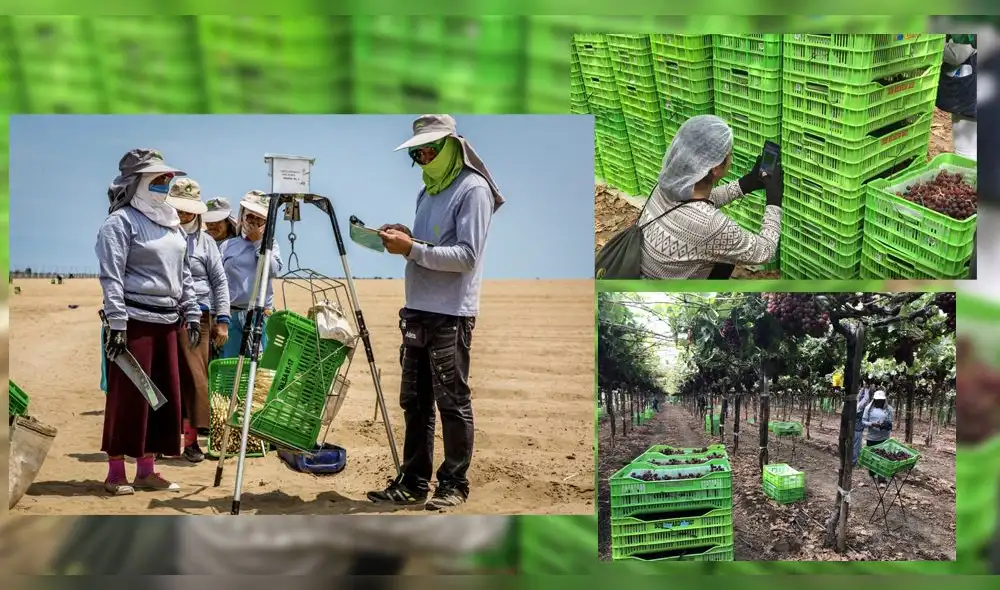 Coronavirus Coronavirus