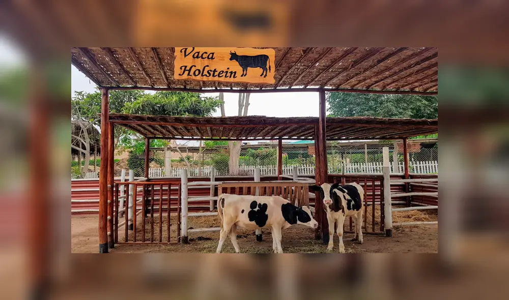 Parque de las Leyendas ofrecerá recorrido virtual. Foto: Andina Parque de las Leyendas ofrecerá recorrido virtual. Foto: Andina