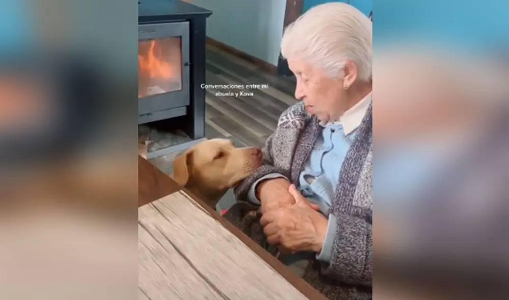 Desliza hacia la izquierda para ver más imágenes de esta conmovedora escena protagonizada por una anciana y su perro. (Foto: captura / TikTok)