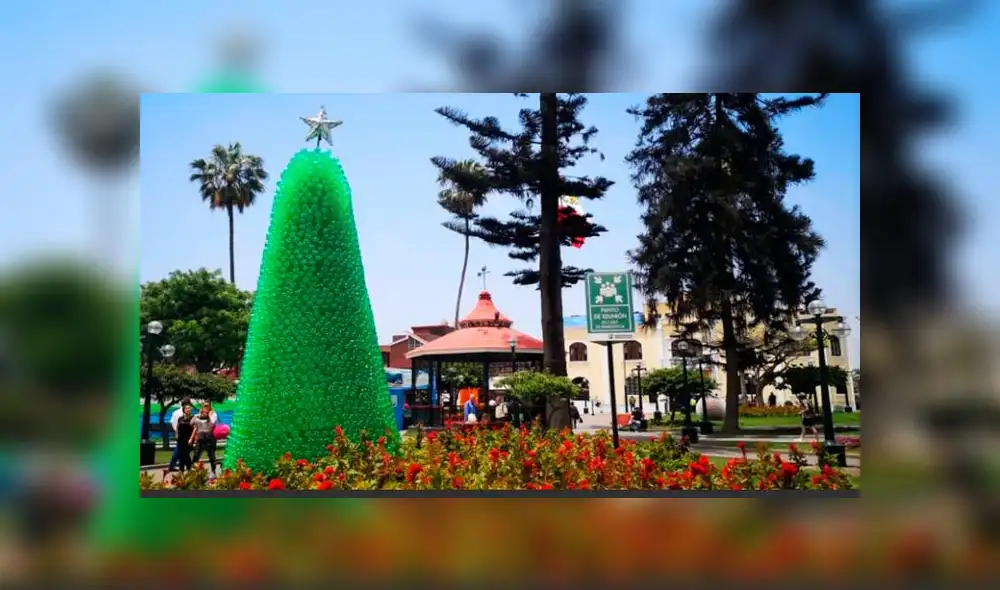 Usan 12 mil botellas y 24 mil tapas de plástico para elaborar árboles y adornos navideños [VIDEO]
