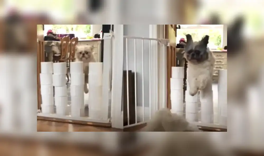 Desliza a la izquierda para ver más imágenes del peculiar video que ya es viral en YouTube.