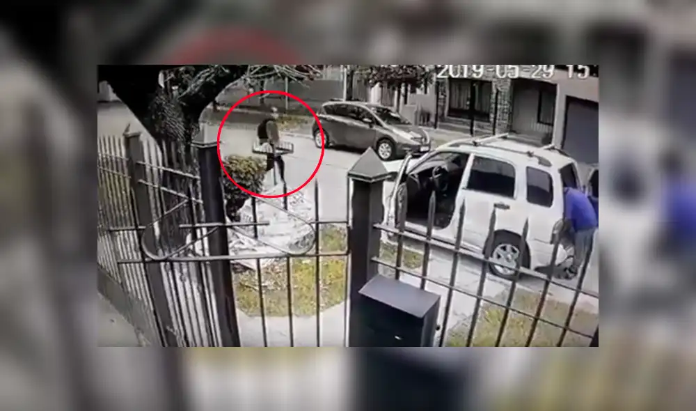 YouTube viral: Perros ven que su dueño es asaltado con pistola y lo rescatan valerosamente [VIDEO] 