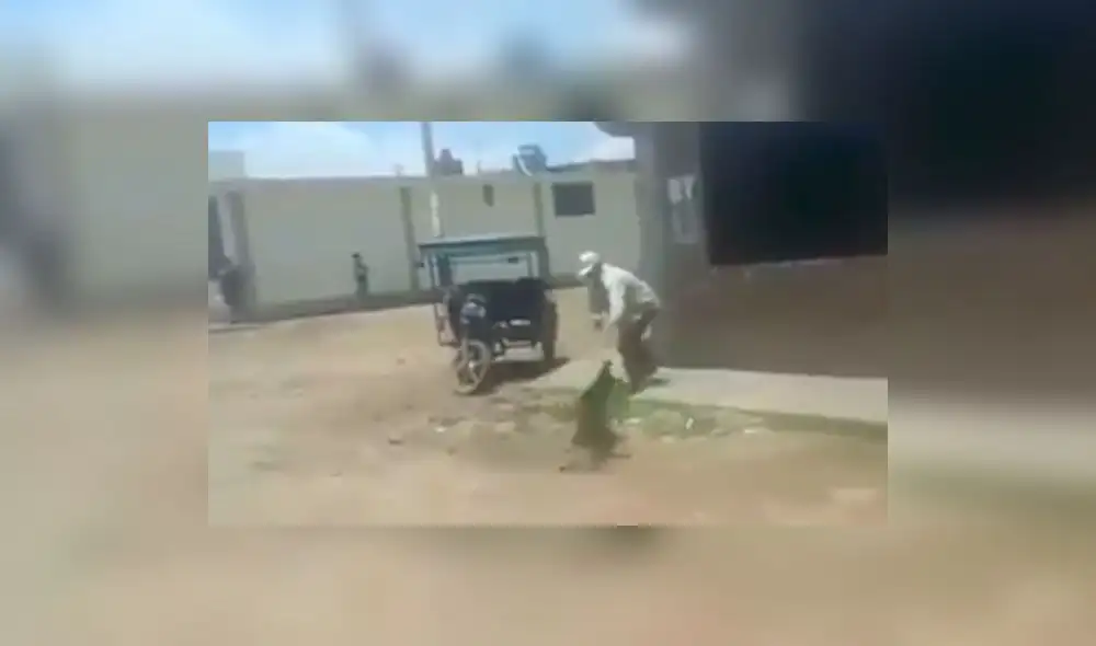Facebook: hombre que propina brutal golpiza a perro indigna a Lambayeque | VIDEO