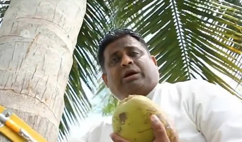 Desde lo alto del cocotero, el funcionario informó del aumento del precio del fruto. Foto: captura/redes sociales.