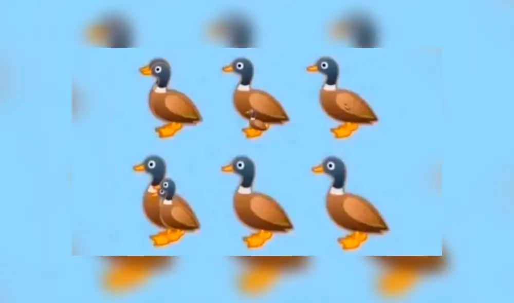 Desliza las imágenes hacia la izquierda para conocer la verdadera respuesta de este nuevo reto visual.