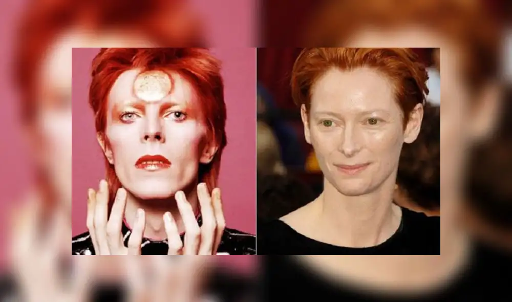 'Stardust': piden que Tilda Swinton interprete a David Bowie en biopic [VIDEO]