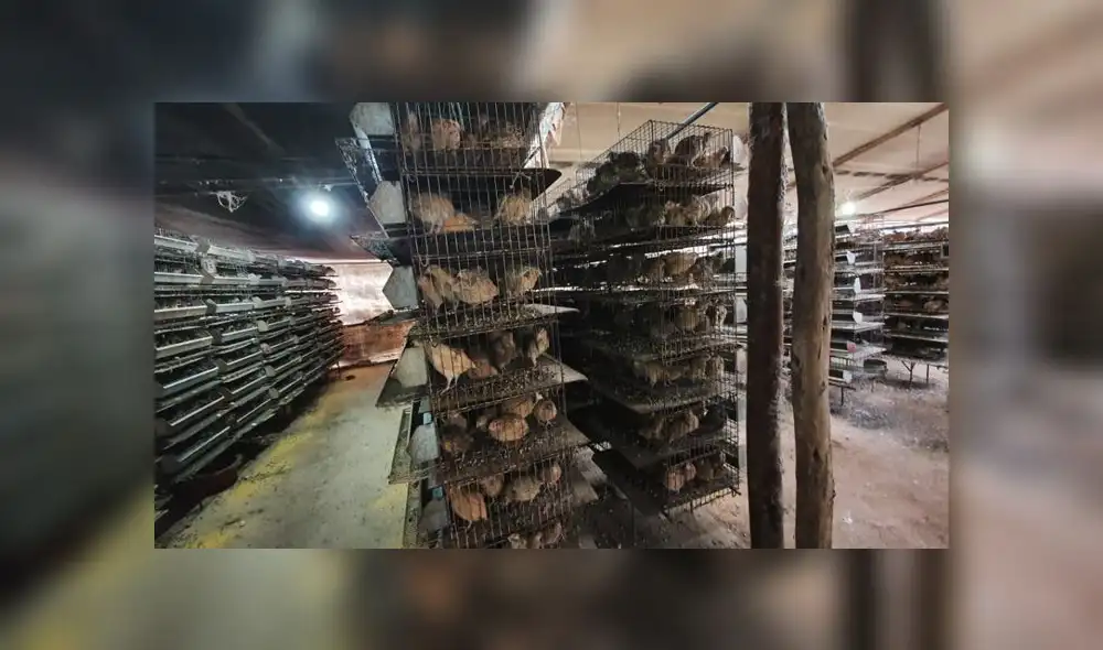 Gracias al apoyo de varias personas y de alcaldes, Richard Huaraca continuará con su negocio. (Foto: GLR - URPI) Gracias al apoyo de varias personas y de alcaldes, Richard Huaraca continuará con su negocio. (Foto: GLR - URPI)